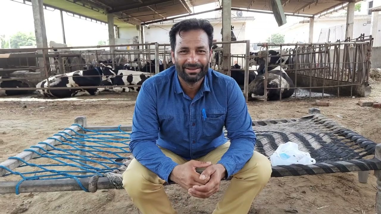 Protect Your Cattle from Foot-and-Mouth Disease with These Key Tips |