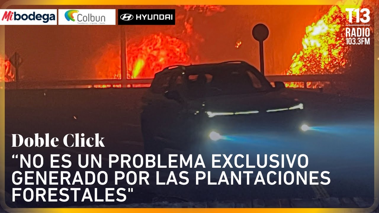 Pdte. Corma: “No es un problema exclusivo generado por las plantaciones forestales
