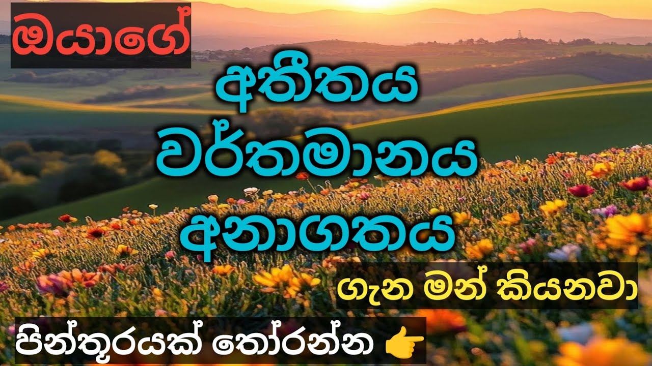 ඔබේ අතීතය, වර්තමානය සහ අනාගතය ගැන කාඩ්පත් පවසන රහස් | Pick a Card @divineflow-Thathsarani 