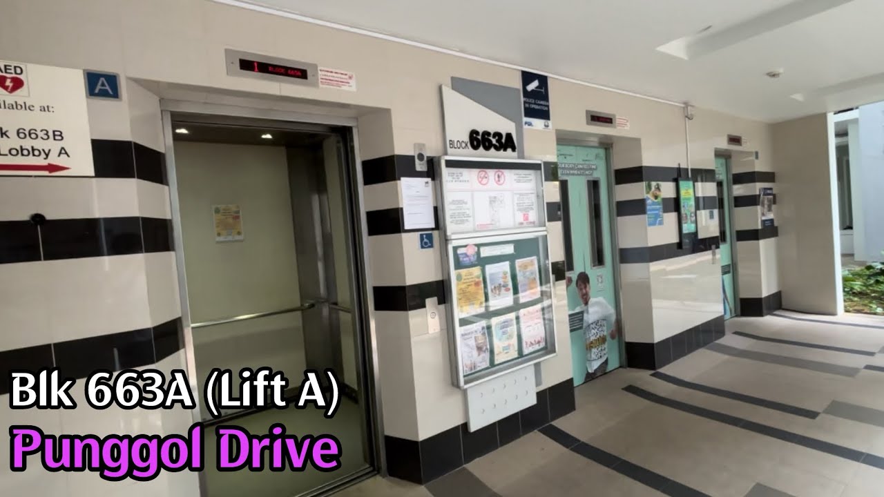 🟣 Blk 663A Punggol - iFE [Lift A]