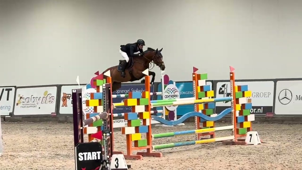 Naomi / 1m20 / Roosendaal