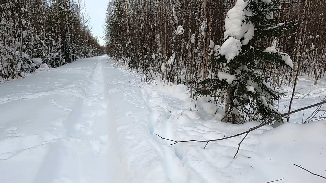ОДИНОЧНЫЙ ПОХОД НА ТАЁЖНУЮ РЕЧКУ \ ЖИЗНЬ В ЛЕСНОЙ ИЗБЕ \ Часть 6 \ ТЯЖКИЙ ОБРАТНЫЙ ПУТЬ