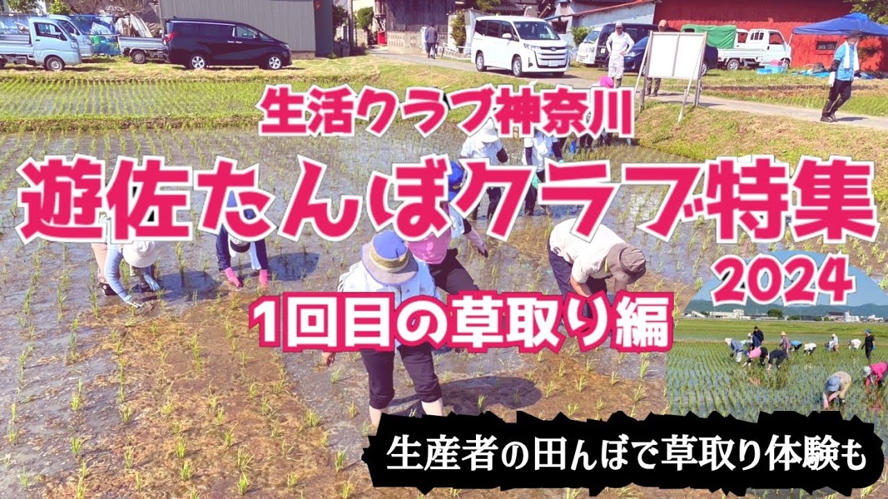 『生活クラブ神奈川遊佐たんぼクラブ特集』~1回目の草取り編~