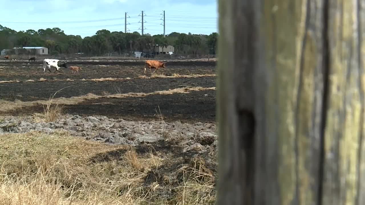 How to protect your home during extreme drought