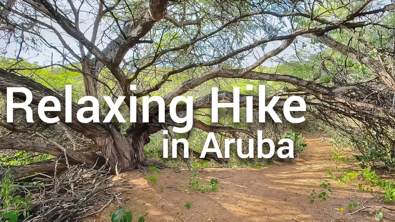 HIKING the Rooi Lamunchi TRAIL - ARUBA