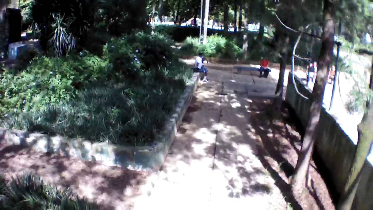 DRONE MANIA