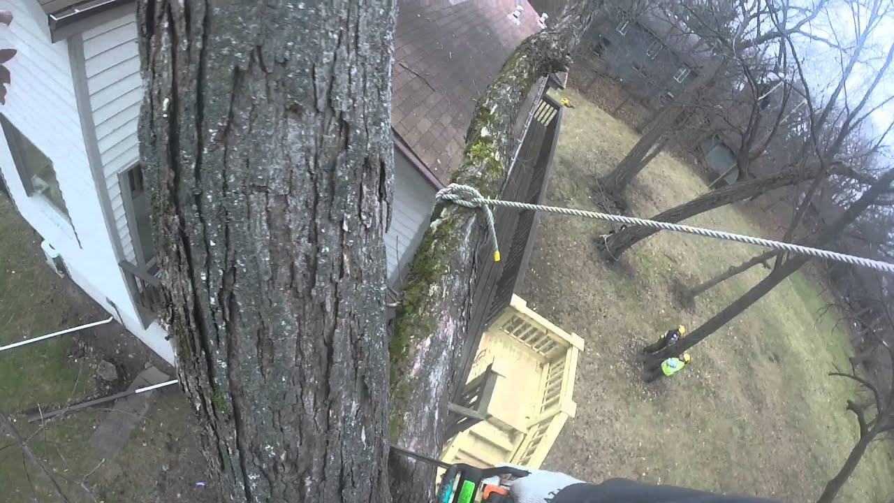 Rigging 8 inch limb over house