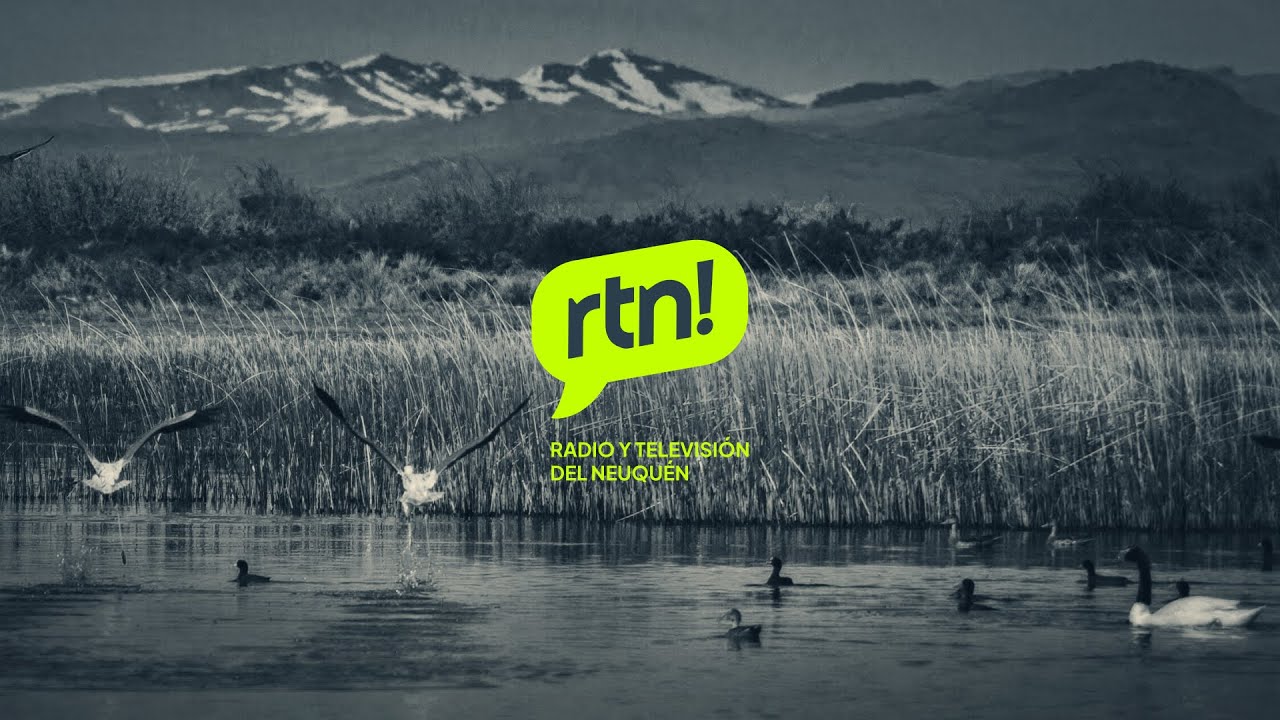 #FundaciónBPNVIVO La Orquesta sinfónica de Neuquén presenta: Concierto  