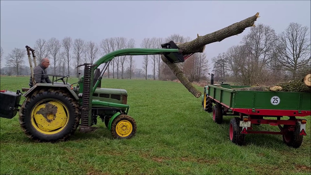Lanz Bulldog D2416 beim Holz laden