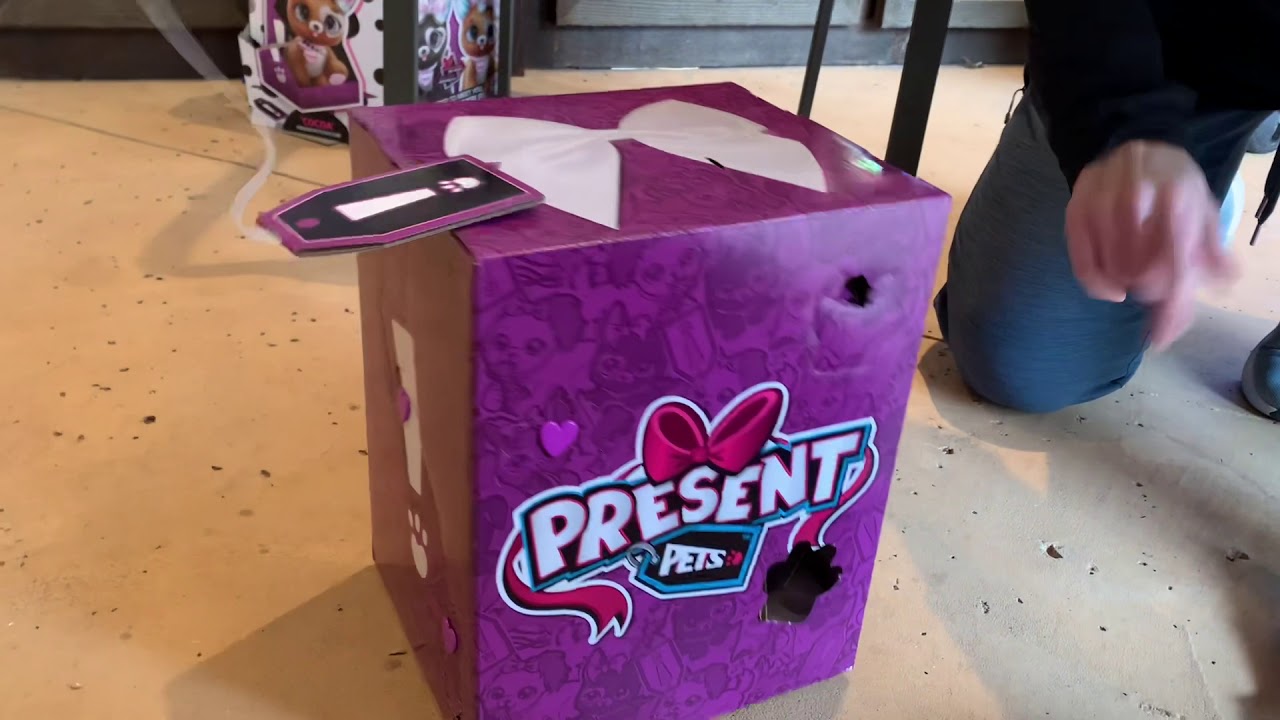 Olivia&rsquo;s Present Pets - Unboxing!!