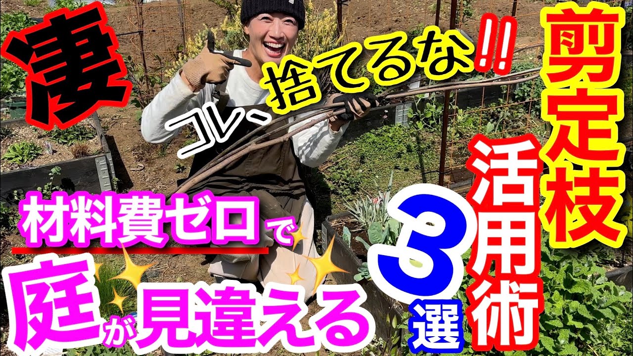 【捨てると大損‼️】捨てるはずの「剪定枝」がお庭で大変身✨活用術を3つご紹介🤗 / 大活躍のオベリスク、レイズドベッドの〇〇にも活用☝️/ 頑張って捨てる時代は終わり/ 大切なお知らせ【ガーデニング】