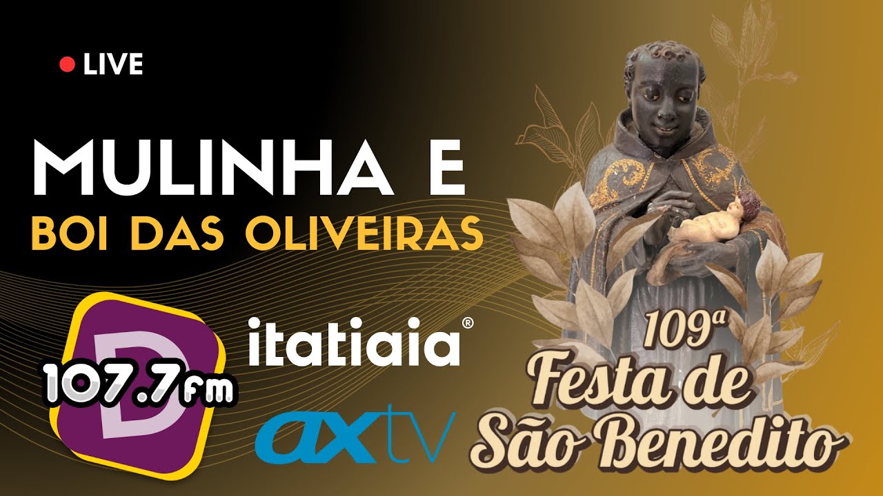 FESTA DE SÃO BENEDITO: MULINHA E BOI DAS OLIVERIAS 2025