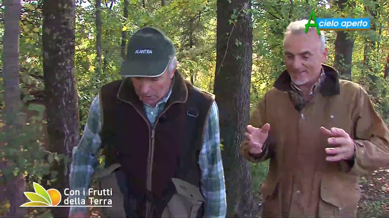 A caccia di tartufo sulle colline di Savigno