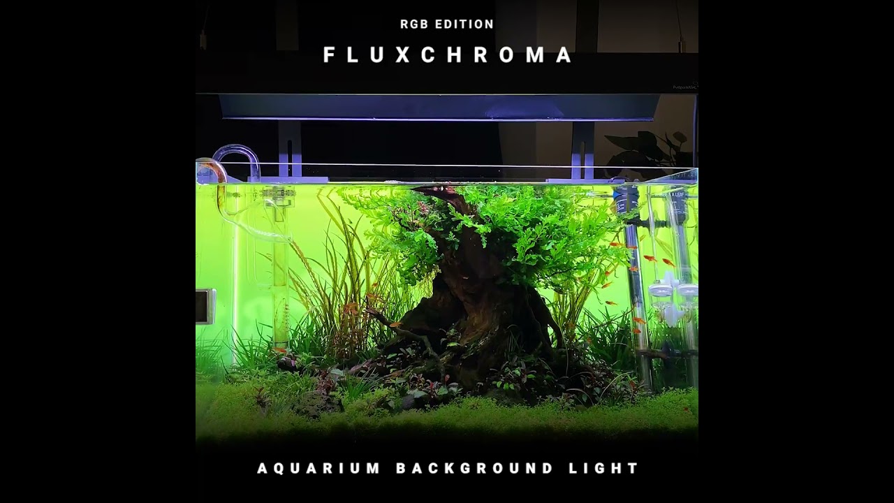 Flux Chroma Edition - By FluxAqua