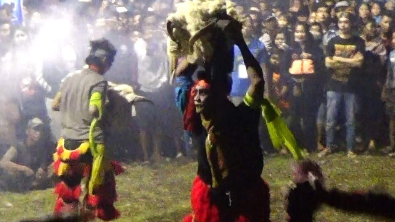Banteng SURO Kewan Alas MAYANGKORO ORIGINAL Live TOSAREN 2019