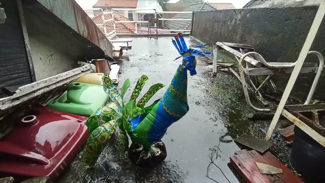 asmr - peacock pot exposed to light rain
