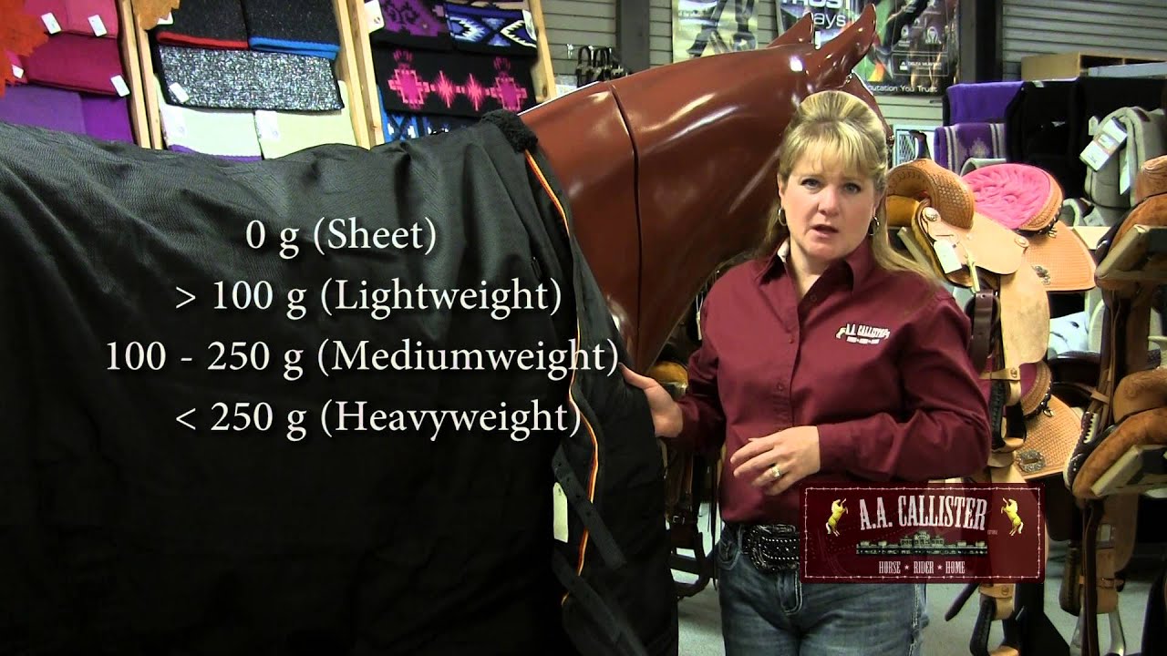 How to Measure Winter Horse Blankets