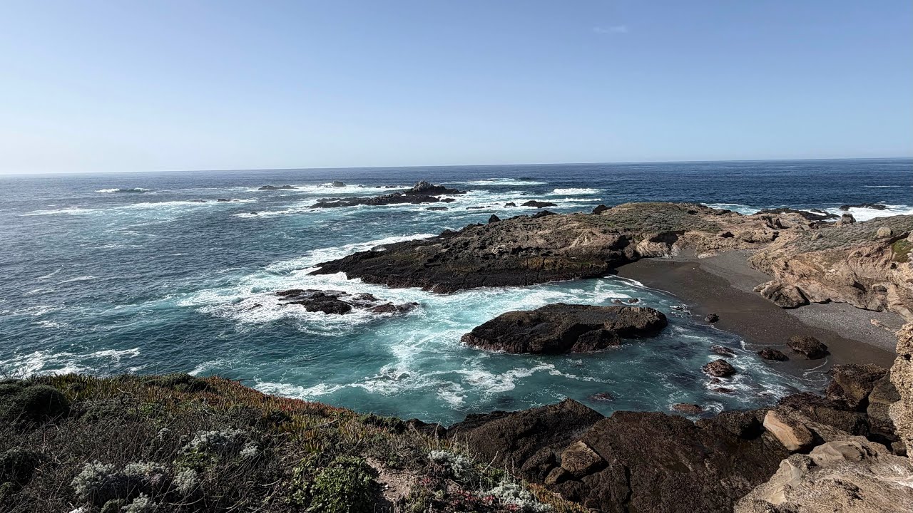 Point Lobos 🦦💕