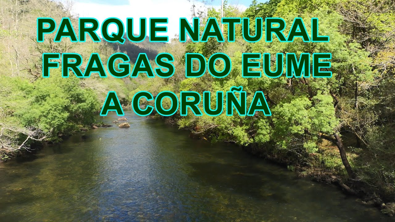 Wild Spain - Capítulo 269 - Parque Natural Fragas do Eume, A Coruña.