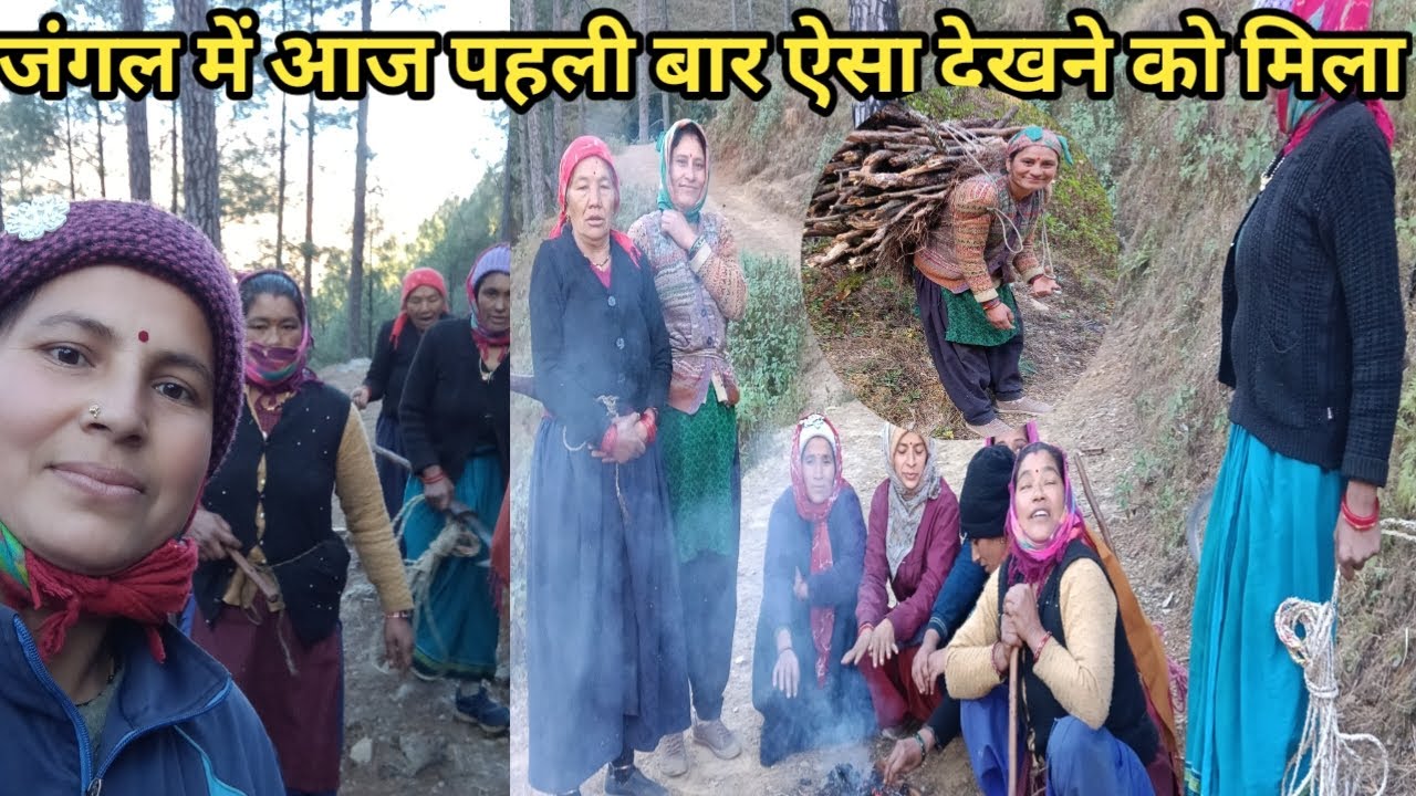 पहाड़ियों का संघर्ष भरा जीवन जंगल में ऐसा देखने को मिलेगा कभी सोचा नहीं था 😲||Pahadi lifestyl vlogs