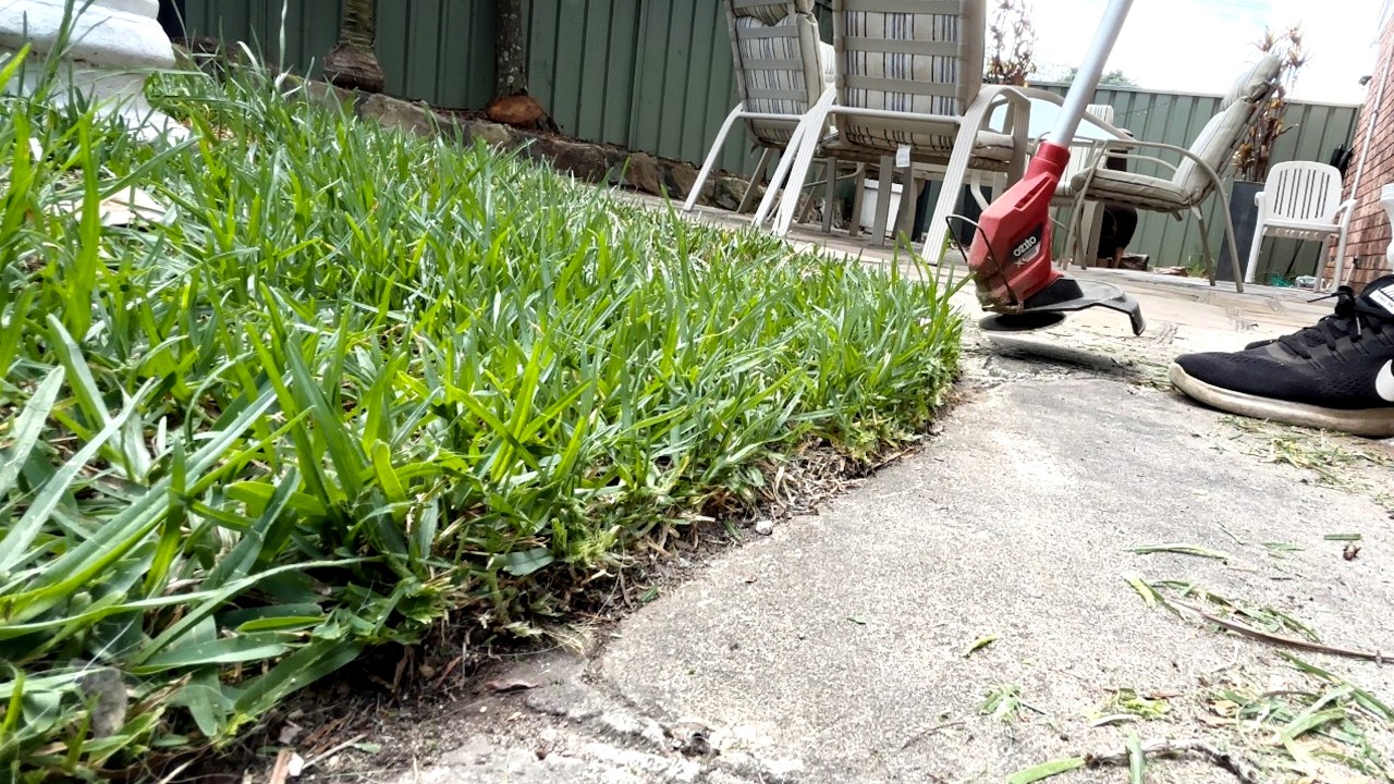 Satisfying Lawn Edging: Transforming an Overgrown Edge (ASMR)