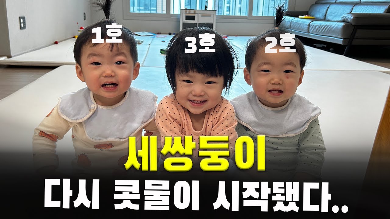 그래도 컨디션은 좋아서 다행인 세쌍둥이ㅣ베베쿡 키즈식ㅣ미쳐버린 딸기 가격ㅣ몽쉘 딸기ㅣ삼둥이 현실육아 24시간ㅣ22개월 아기 아가ㅣ육아 브이로그ㅣVLOG