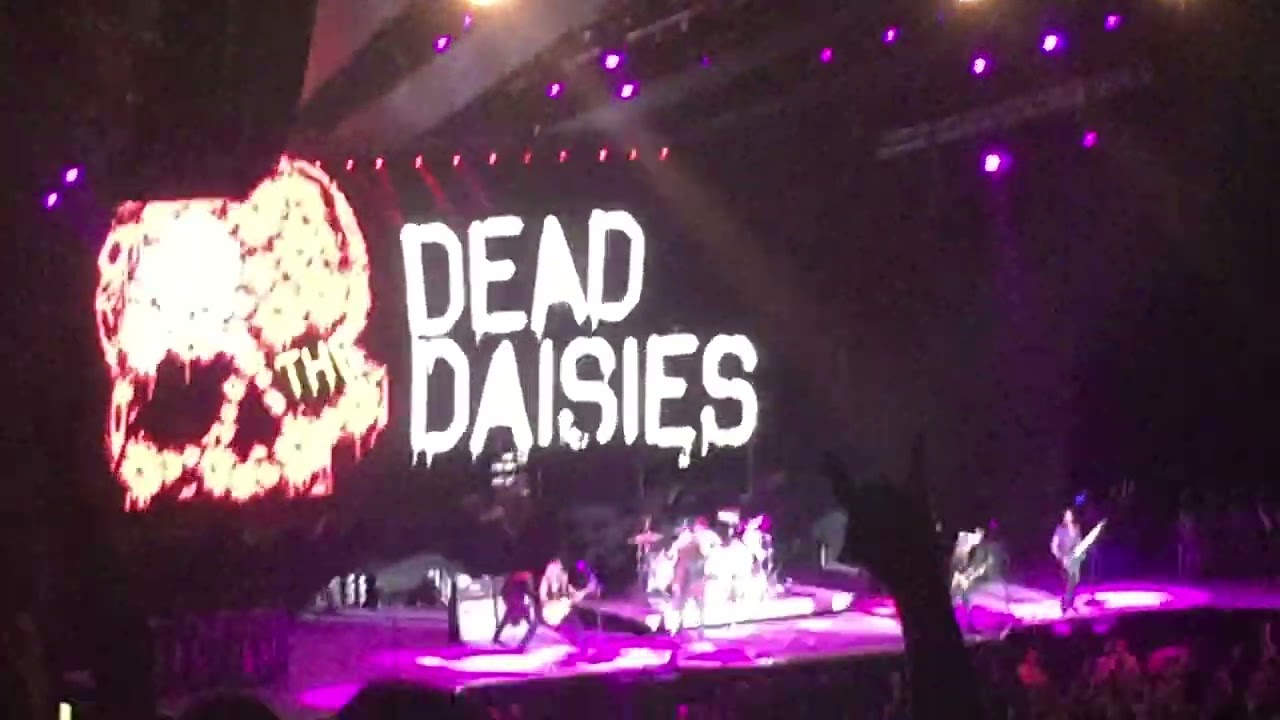 Dead Daisies rare