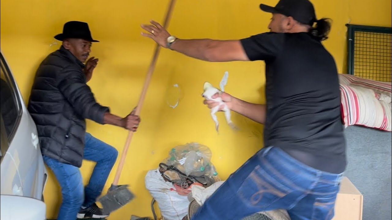 CHARLLES E MARQUINHOS TROLAM TÕE E TIRINGA EM SÃO PAULO 😂 | CHÁCARA COMÉDIA SELVAGEM