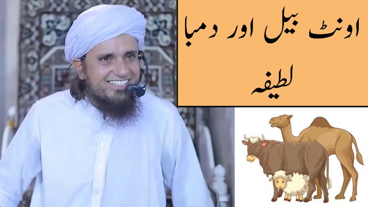 Oont Bail Aur Dumba Latifa (Mufti Tariq Masood)