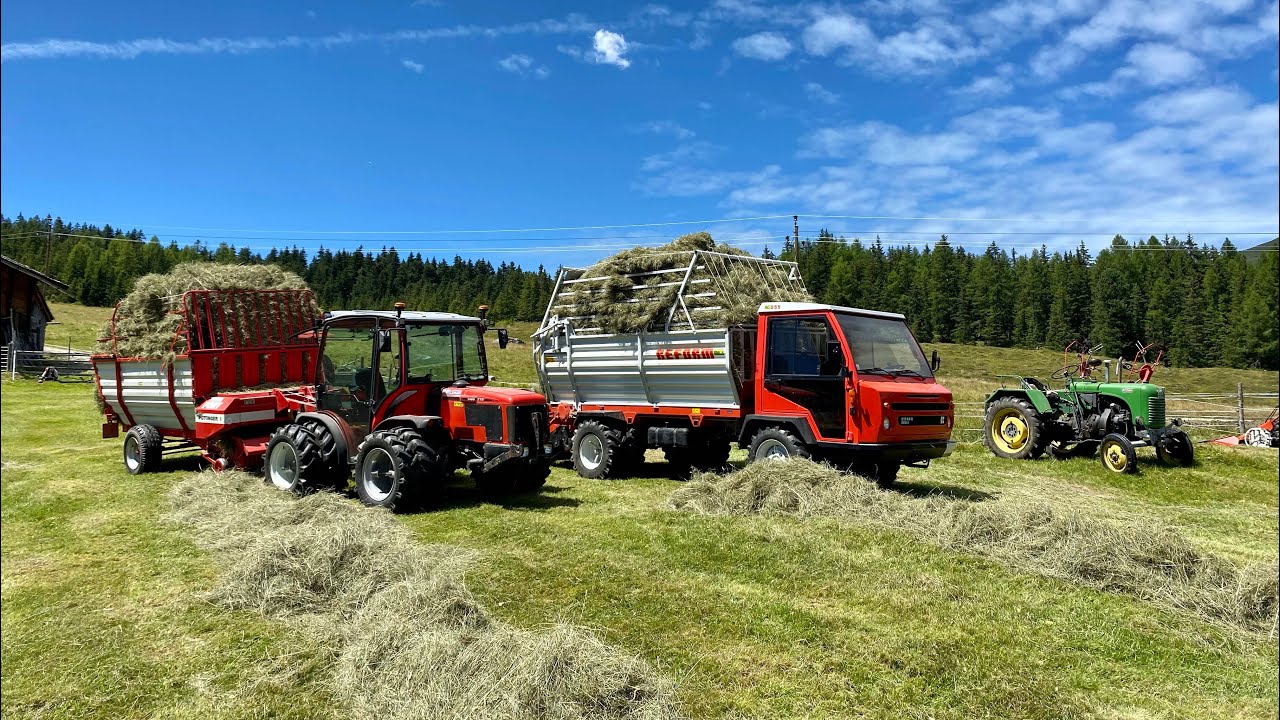 Bergwiesen heuen auf der Samalpe