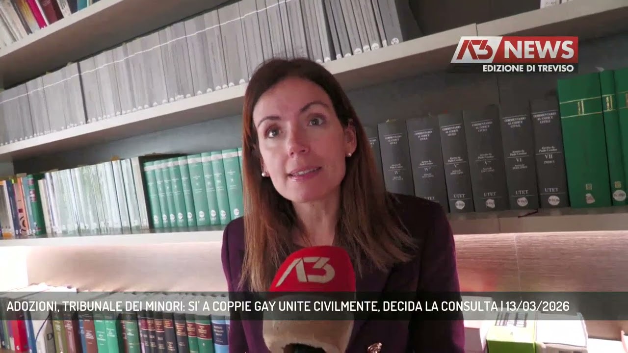 ADOZIONI, TRIBUNALE DEI MINORI: SI' A COPPIE GAY UNITE CIVILMENTE, DECIDA LA CONSULTA | 13/03/2026
