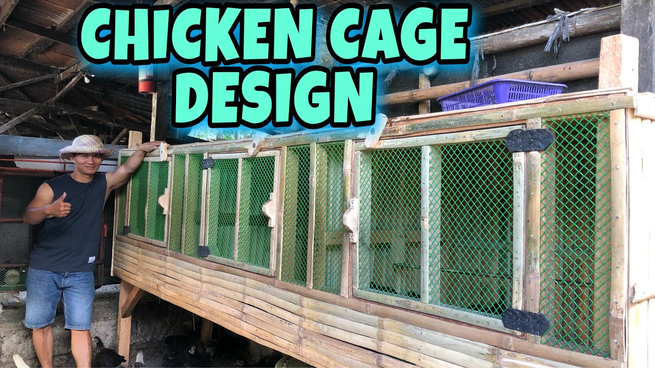 CHICKEN CAGE DESIGN | FREE RANGE CHICKEN | BUHAY PROBINSYA