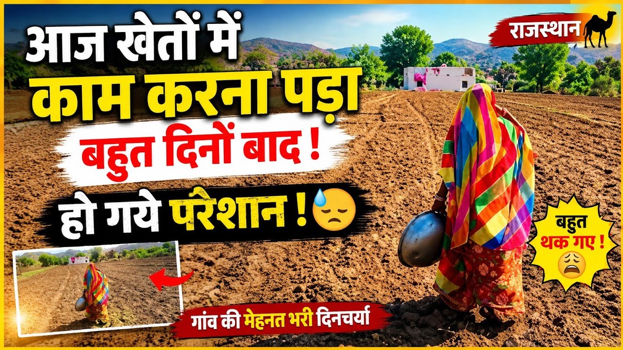 बहुत दिनों बाद खैतो में काम करना पड़ा / खैतो में से कचरा साफ किया Dileep Rajput Vlogs / Rajasthan
