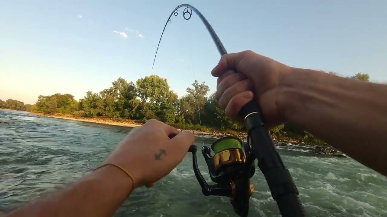 Som na Savi! Brežice – Neverjetna borba (poletje 2025)