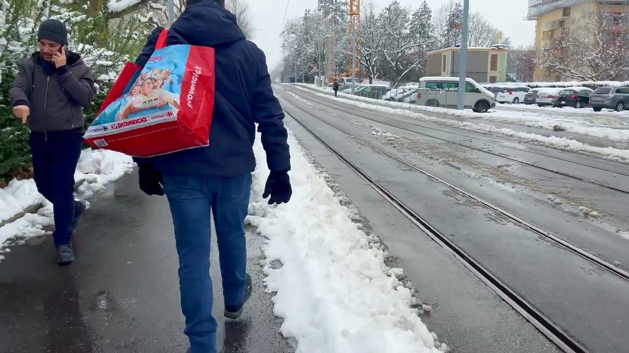 MEYRIN GENEVA Winter Walking Tour January 2024