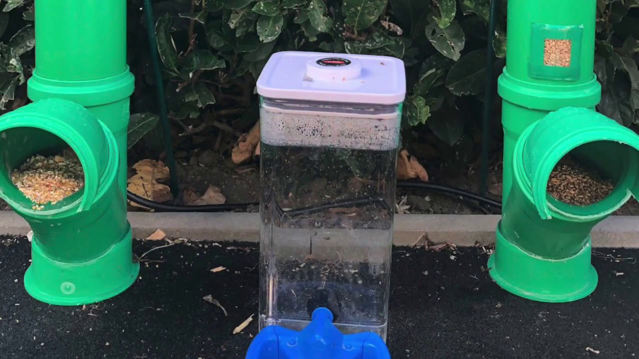 Futterautomat selbstgebaut für Hühner und Enten