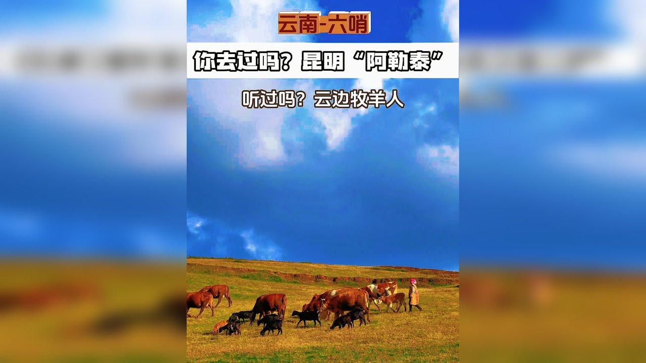 知道昆明也有“阿勒泰”吗？ 你去过了吗？我来听云边牧羊人讲述如何给孩子凑学费…