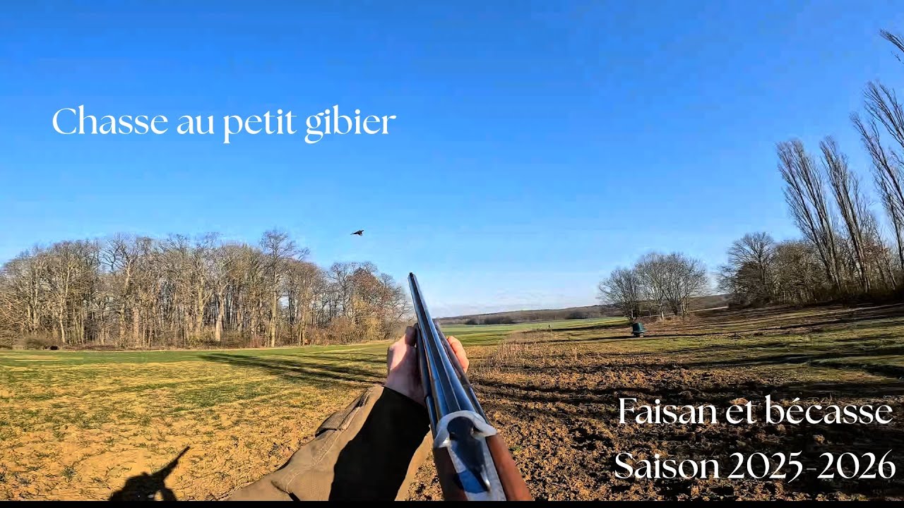 Chasse au petit gibier !  Saison 2025-2026