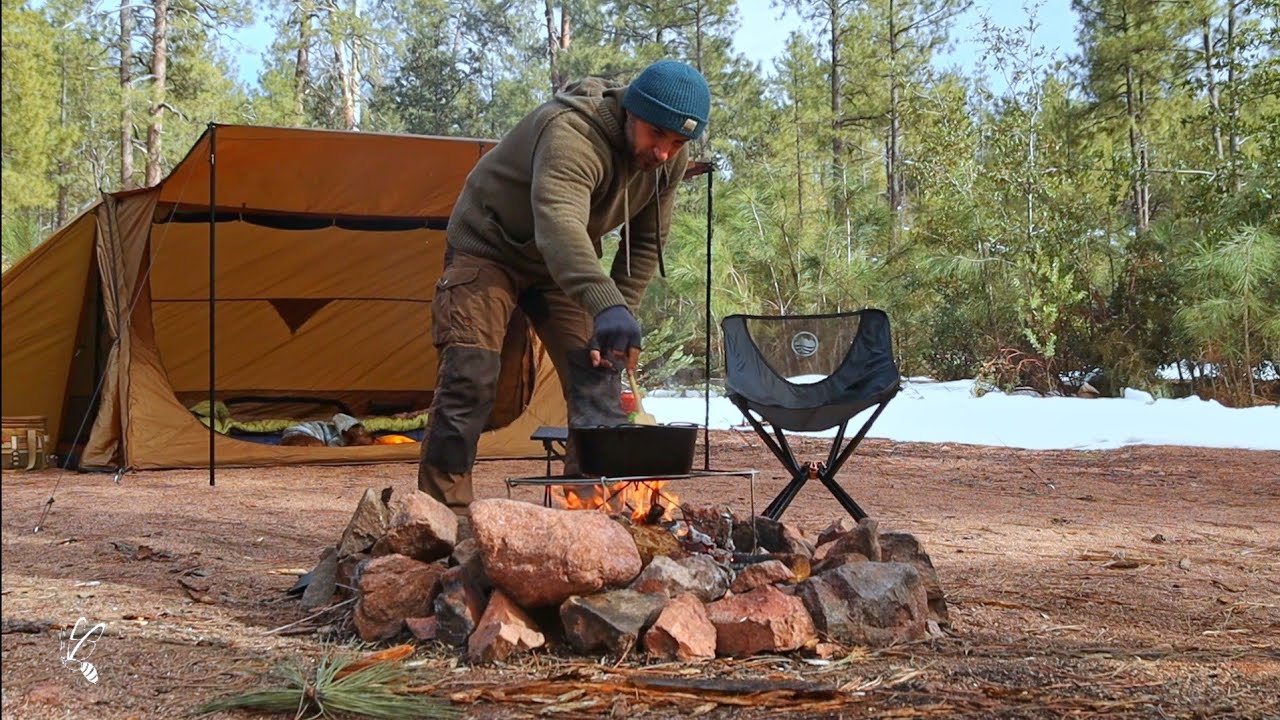 Solo Snow Camping with My Dog , Wood Stove ASMR