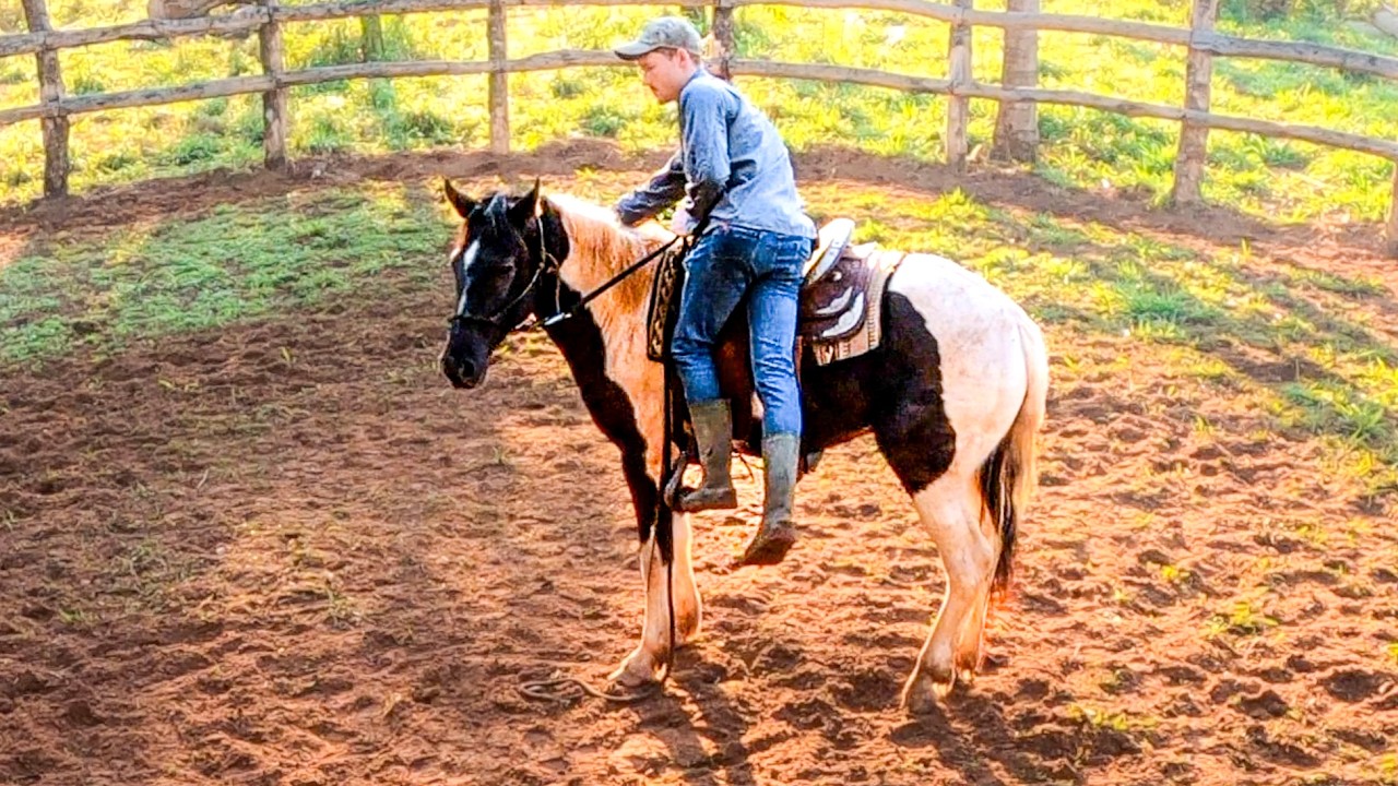 WILD HORSE Feels My Weight In The SADDLE! | Taming A Wild Horse [EP11]