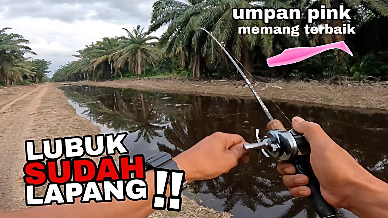 Umpan padu di spot viral. Ikan tak habis habis.