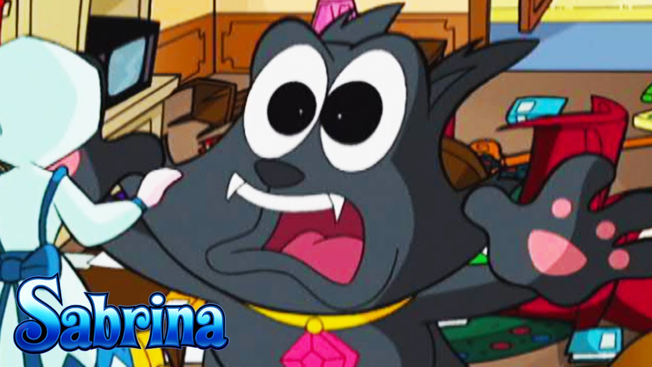 A Tail of Two Kitties | Sabrina The Teenage Witch - WildBrain | Full HD Episodes