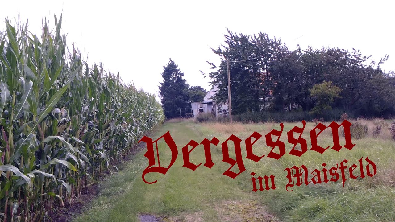 Lost Places / Vergessen im Maisfeld / Unterwegs mit Emsland Explorer / Urban Explorer