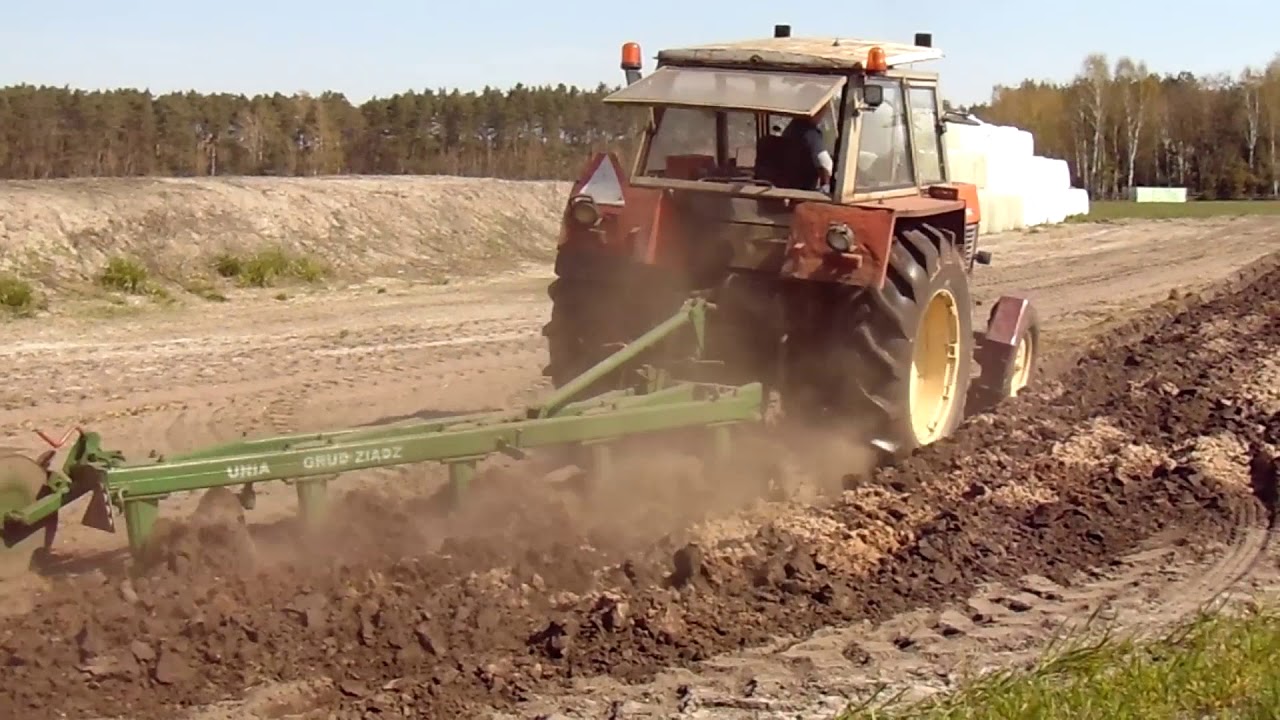 orka i uprawa miejsca pod kiszonkę 2019 & zetor crystal 12011