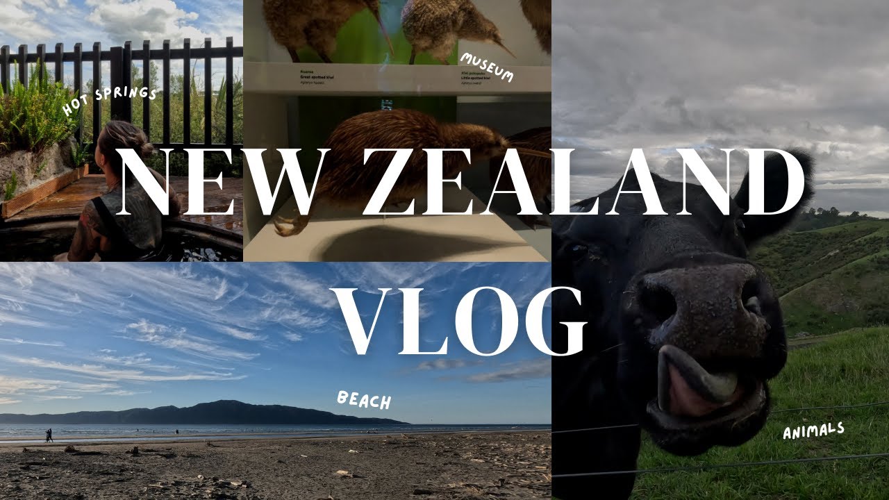 New Zealand Vlog | Wellington to Auckland in under 5 days | Last Minute Road Trip & Sightseeing 🇳🇿🥝🐄