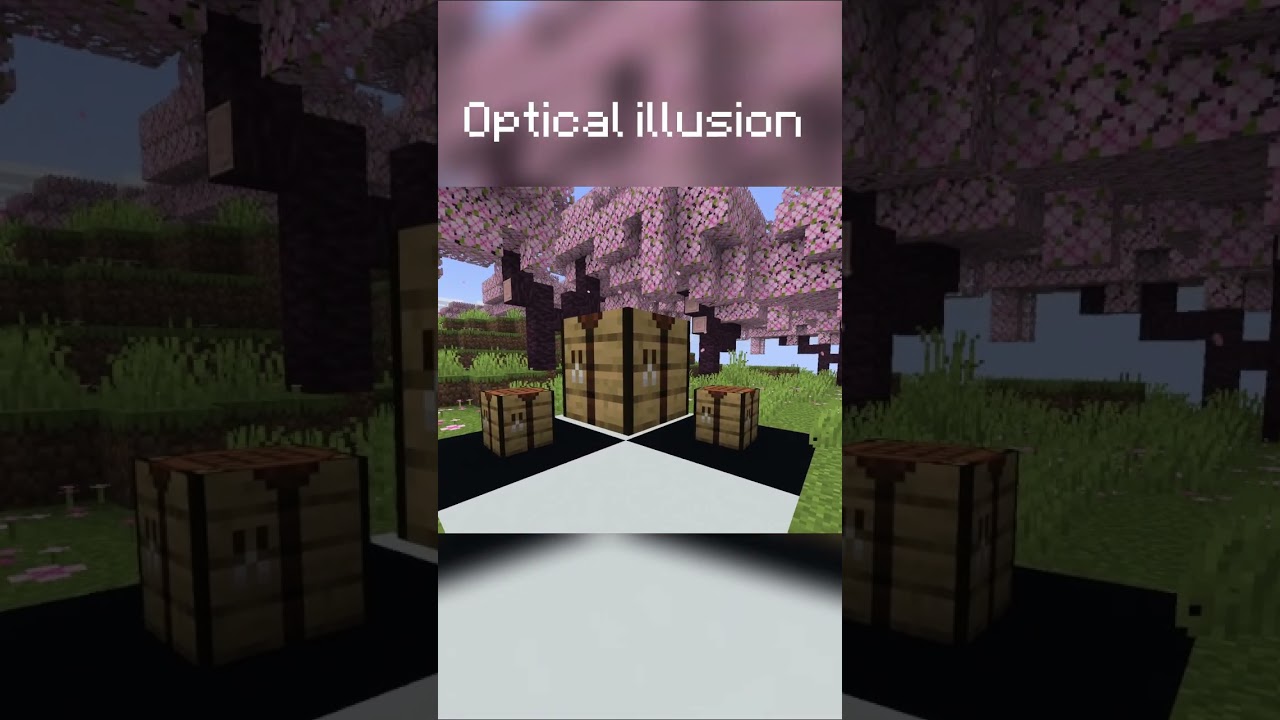 Minecraft illusion #minecraft #buildideas #recommended #minecraftshorts #minecraftbuilding