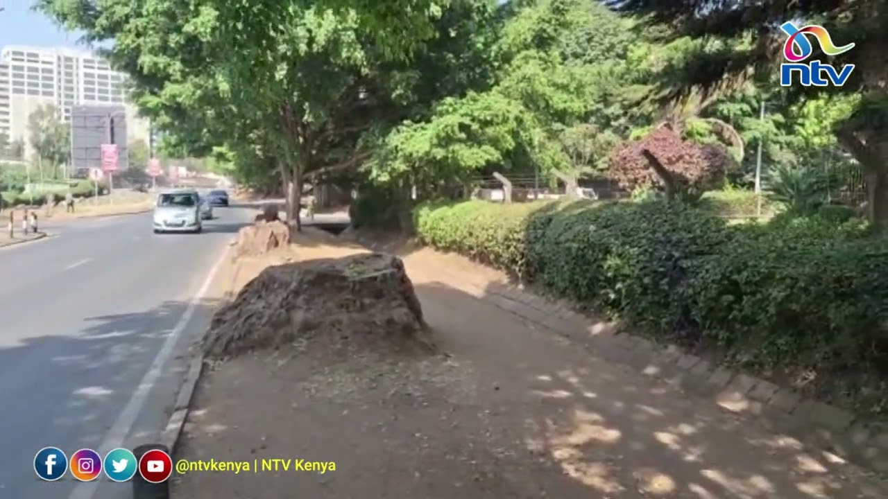 Maandamano Day 2: Nairobi CBD spot check