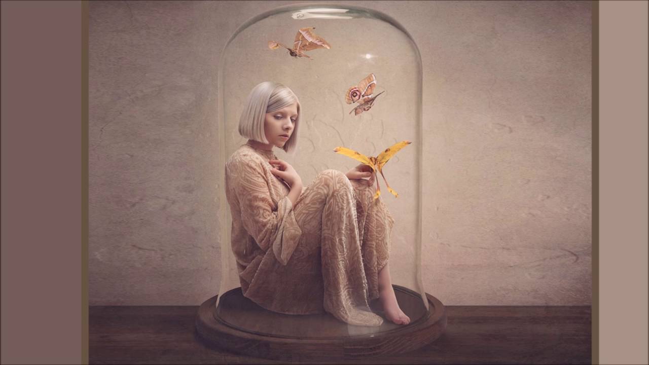 AURORA - Winter Bird (Instrumental)
