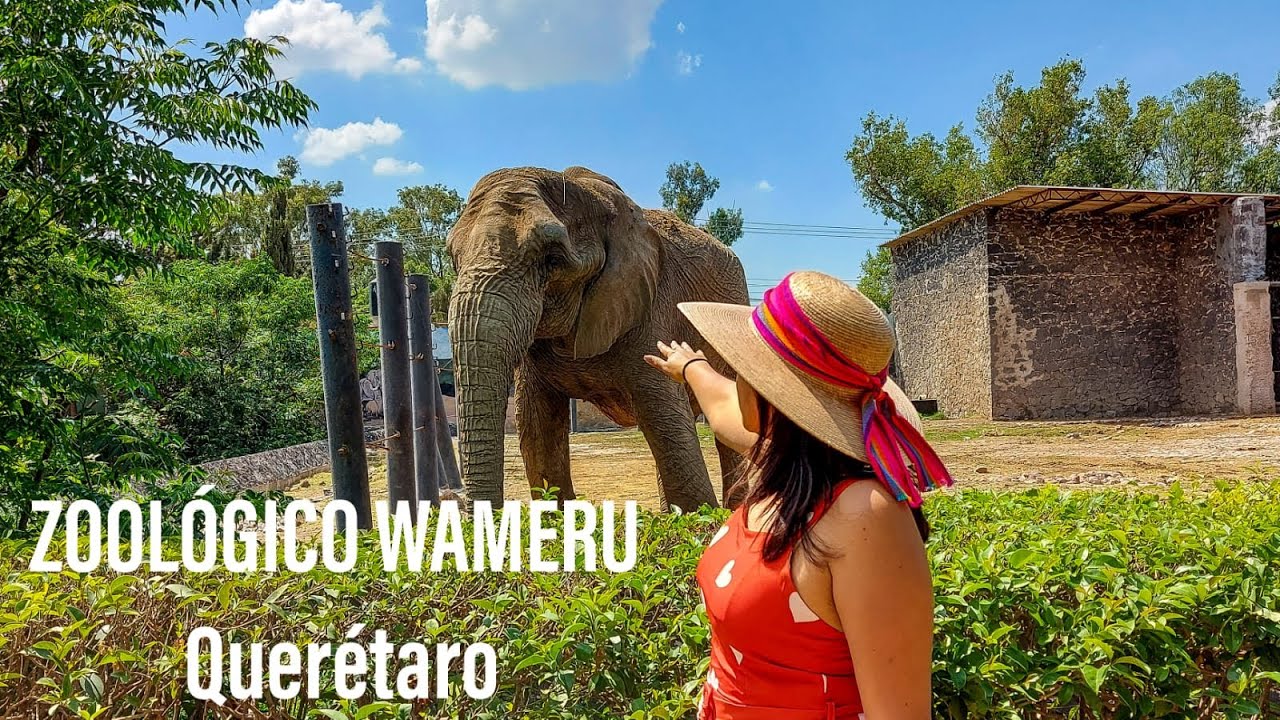 ZOOLOGICO WAMERU Queretaro Mexico 🌎 / Tour completo / Vladimir Aleman
