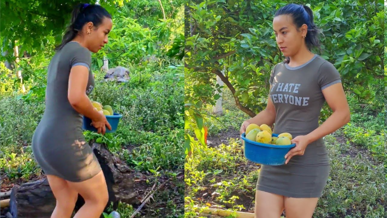 Recogiendo Buenos Mangos para Vender // Madre Soltera